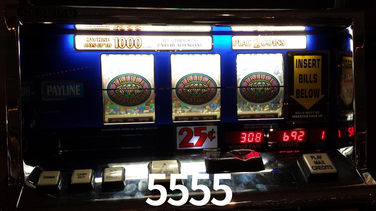 Statistics 5555